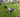 Un baby foot humain spectaculaire à Simandre